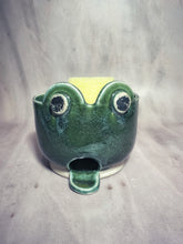 Load image into Gallery viewer, Frog Sponge Holder
